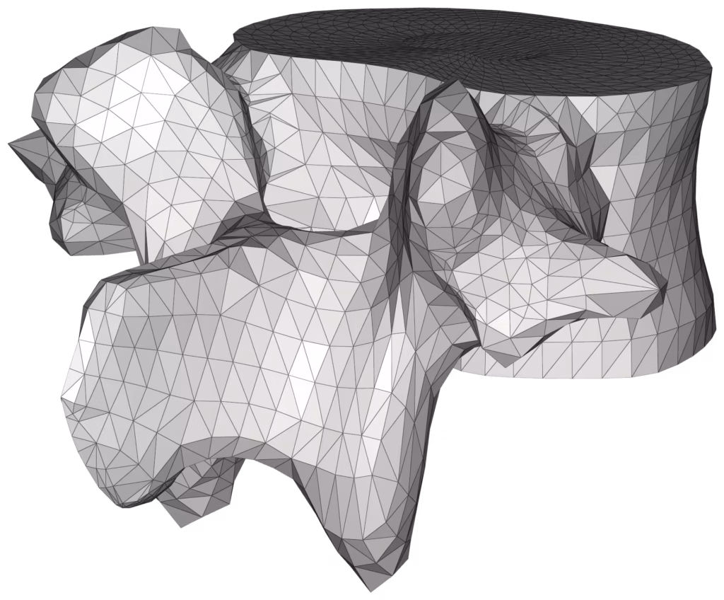 CM2 Intersect® T3 - Vertebra. Initial mesh.