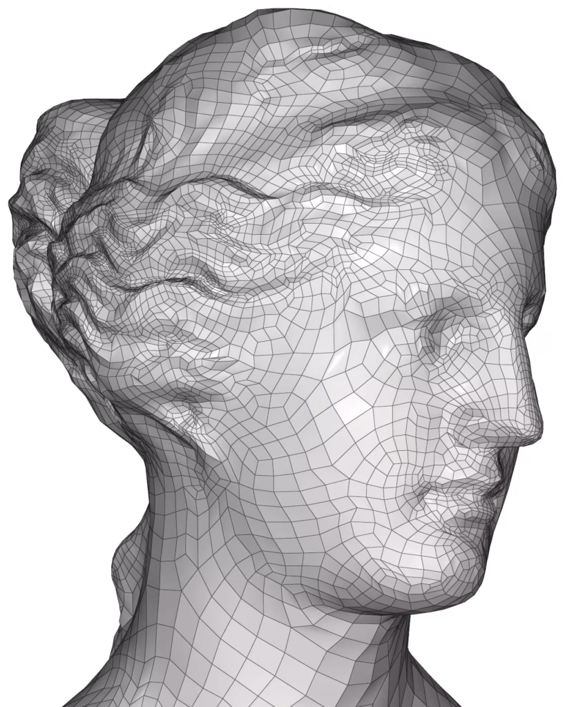 CM2 SurfRemesh® Q4 - Aphrodite - All-Quad Remesh (zoom)