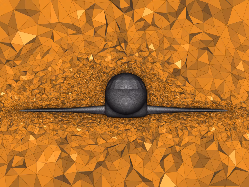 Falcon in box - Anisotropic tetrahedron mesh - Zoom