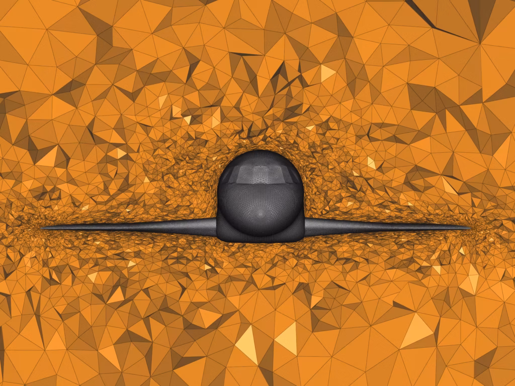Falcon in box - Anisotropic tetrahedron mesh - Zoom