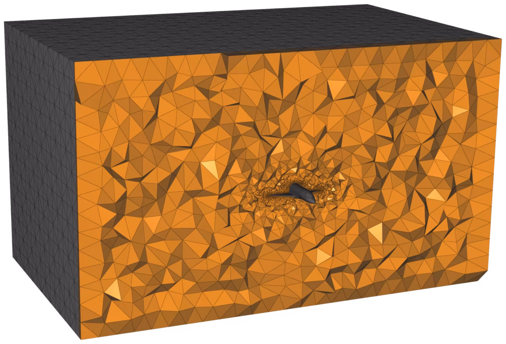 Falcon in box - Anisotropic tetrahedron mesh