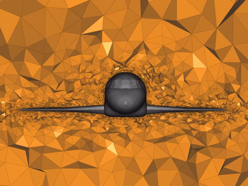 Falcon in box - Anisotropic tetrahedron mesh - Zoom
